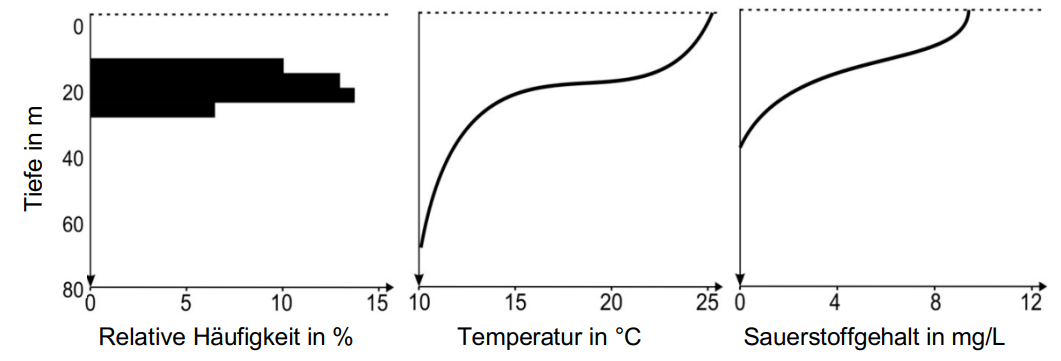 Drei Diagramme nebeneinander: relative Häufigkeit, Temperaturprofil und Sauerstoffgehalt in Abhängigkeit von der Tiefe (m).
